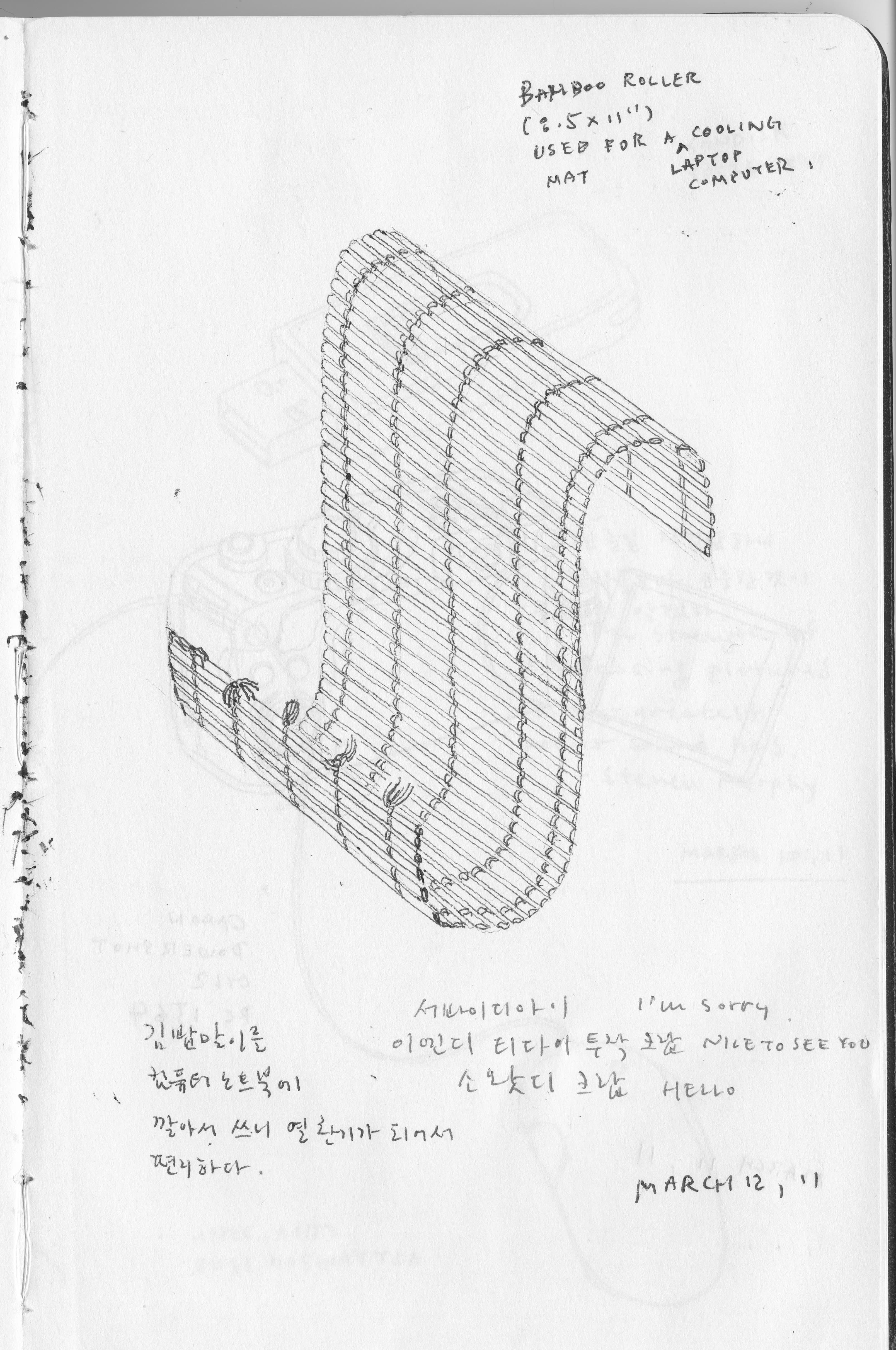 diary_031211.jpg
