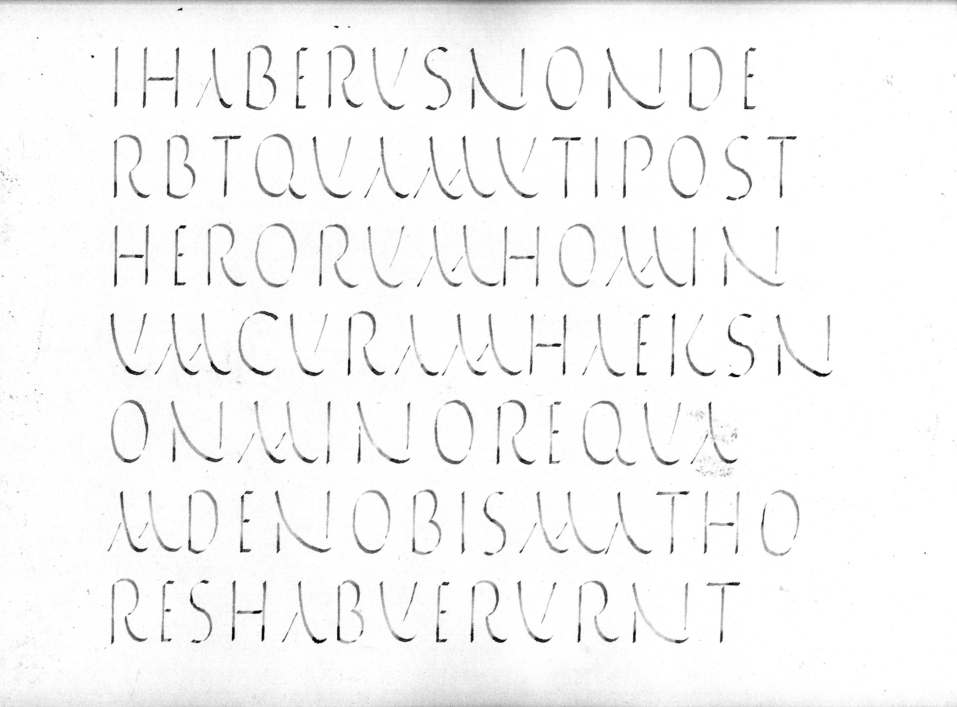 070508_asu_capitalis rustica.jpg