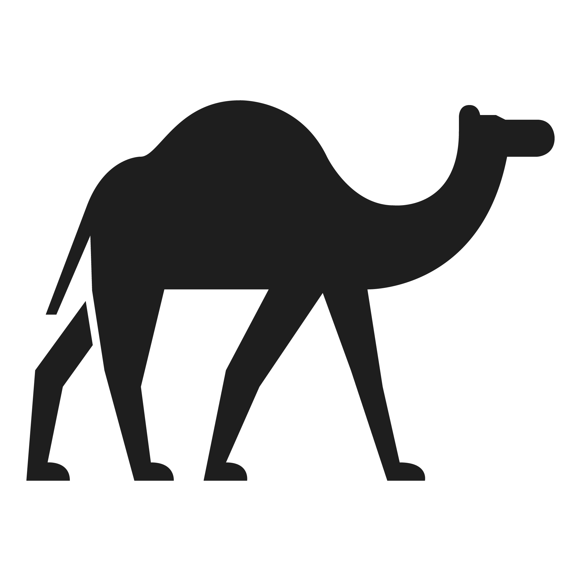 Camel