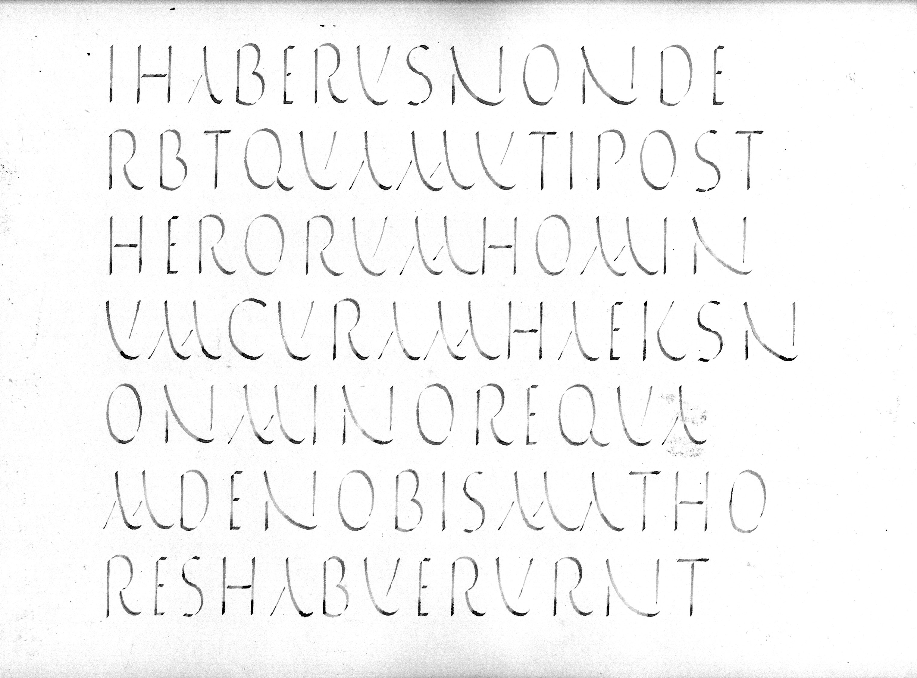 070508_asu_capitalis rustica.jpg